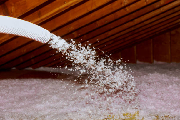 Best Commercial Insulation in Narrows, VA
