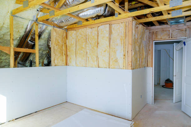 Best Insulation Maintenance and Repair in Narrows, VA