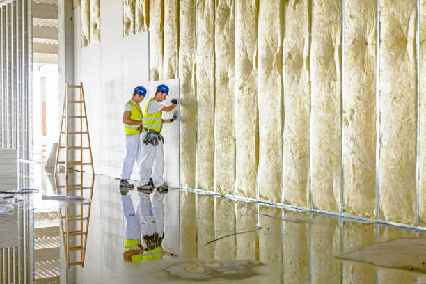 Best Energy Efficiency Solutions in Narrows, VA